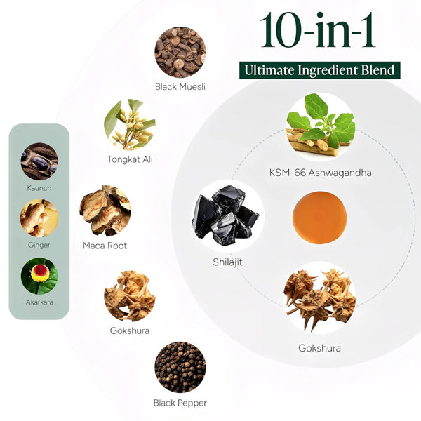 PrimalEdge Power Gummies