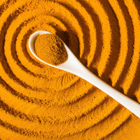 Turmeric Root Oil