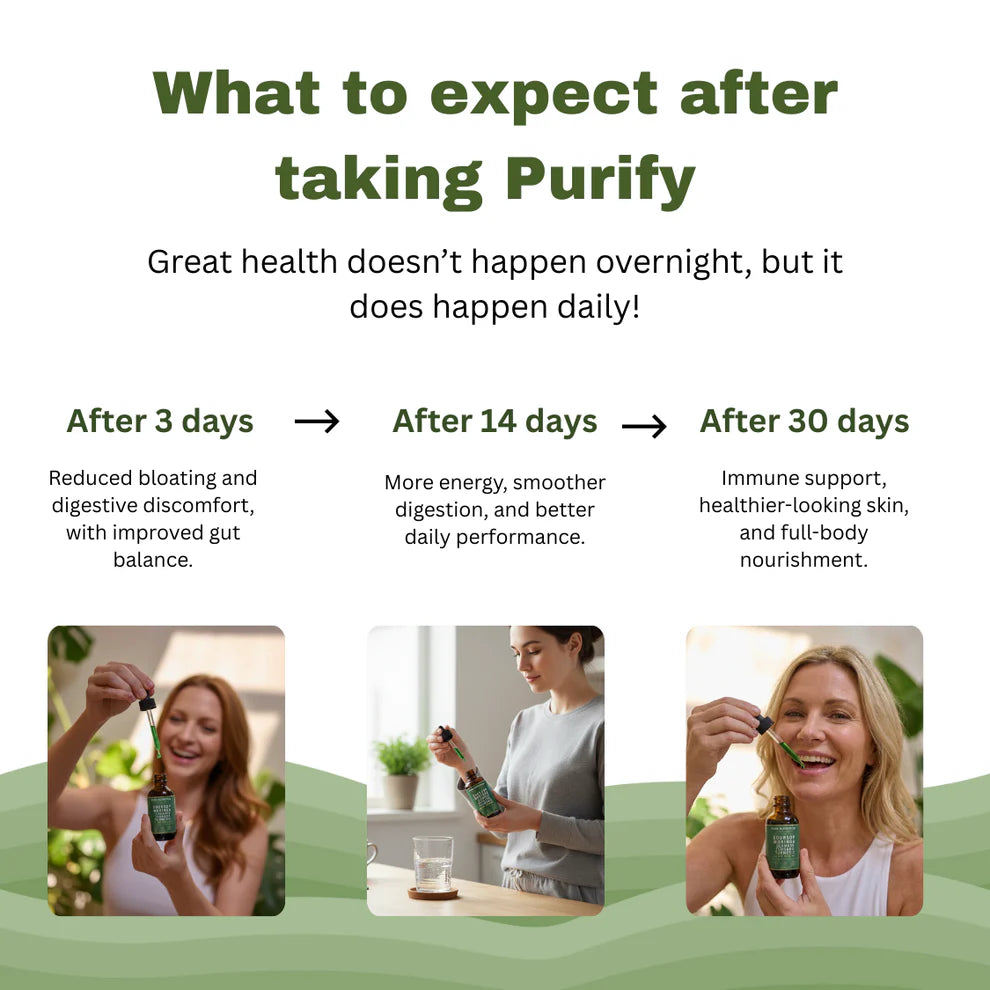 Purify Soursop Night Detox