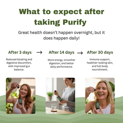 Purify Soursop Night Detox