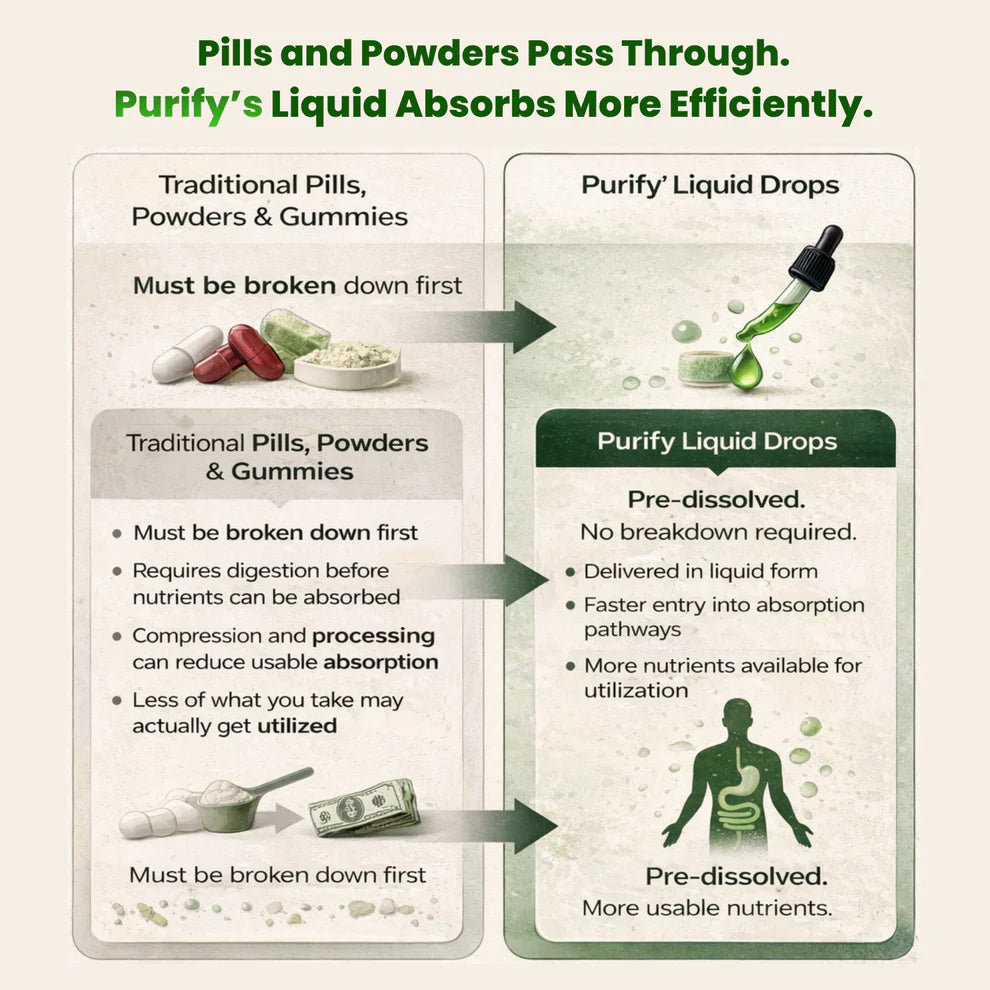 Purify Soursop Night Detox