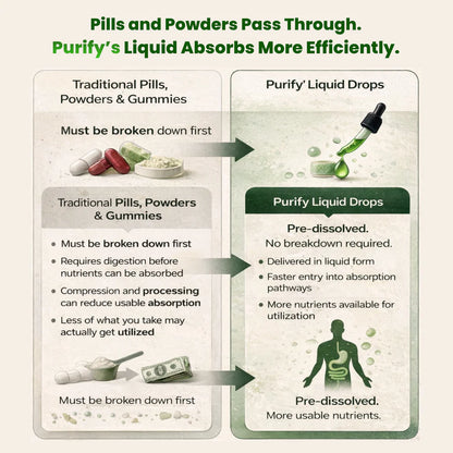 Purify Soursop Night Detox
