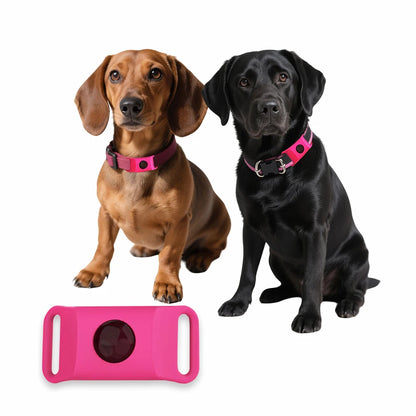 Flea & Tick Repellent Tag