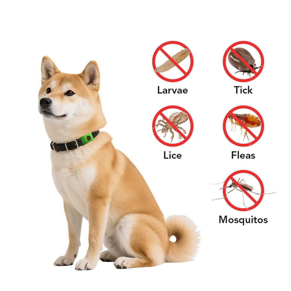 Flea & Tick Repellent Tag