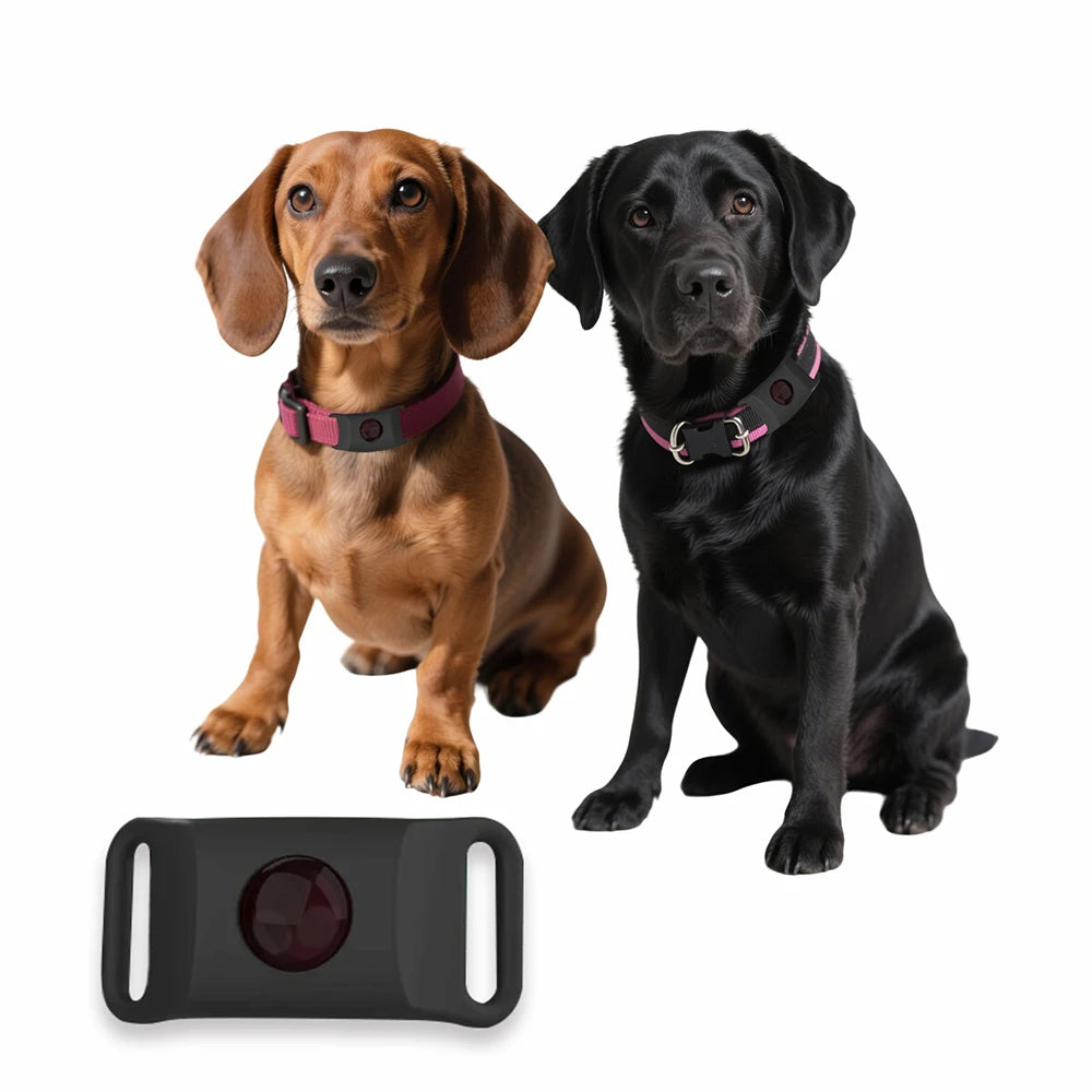 Flea & Tick Repellent Tag