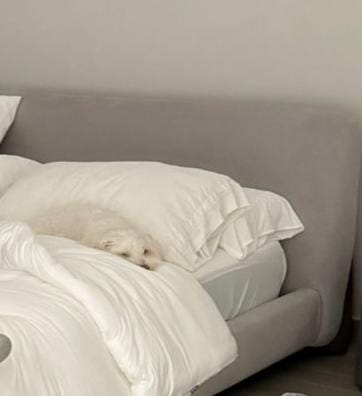 Olivia P.